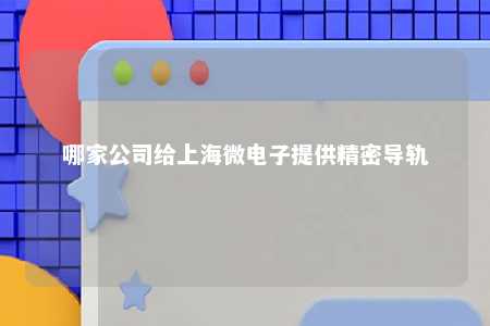 哪家公司给上海微电子提供精密导轨 